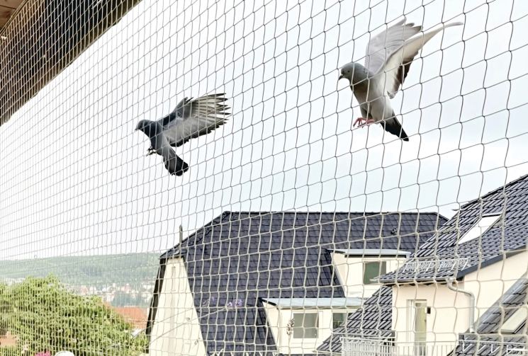 Bird Protection Net